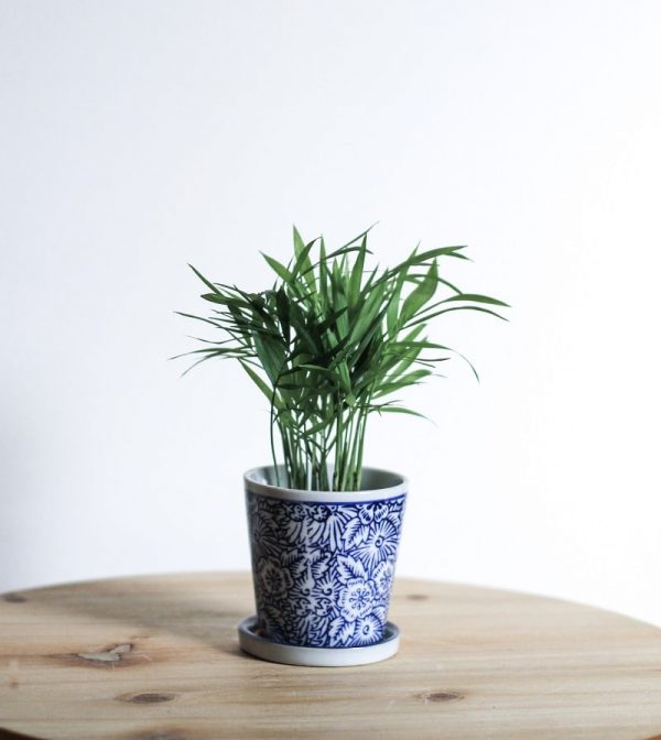 Hand Painted Ceramic Planter